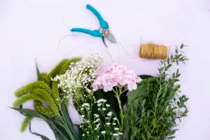 Atelier Serre Sauvage