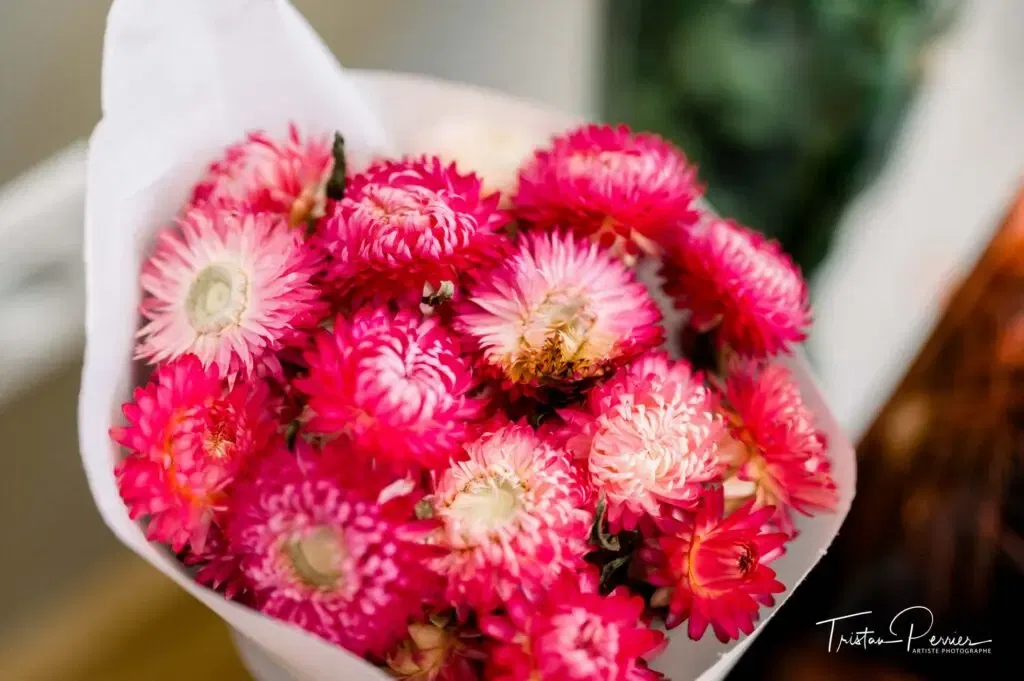 fleurs séchées pour bar à fleurs